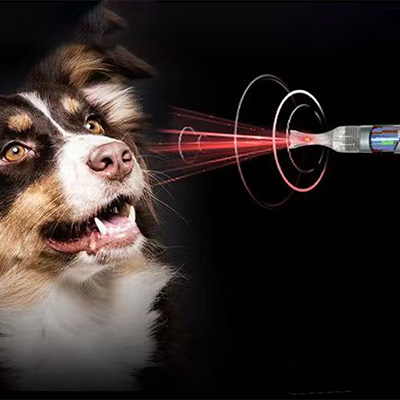 Proč používat laser třídy IV ve veterinární medicíně?